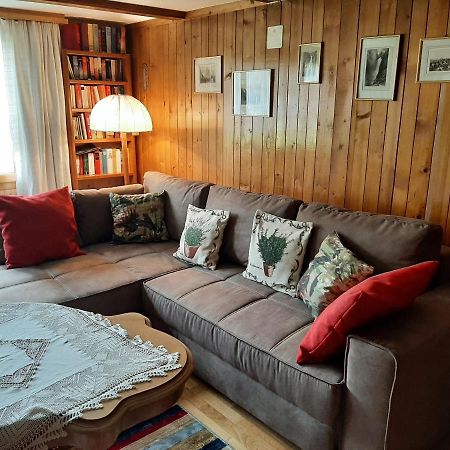 Chalet Am Fels Innertkirchen Luaran gambar