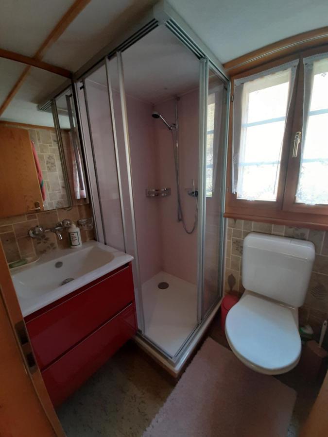 Chalet Am Fels Innertkirchen Luaran gambar